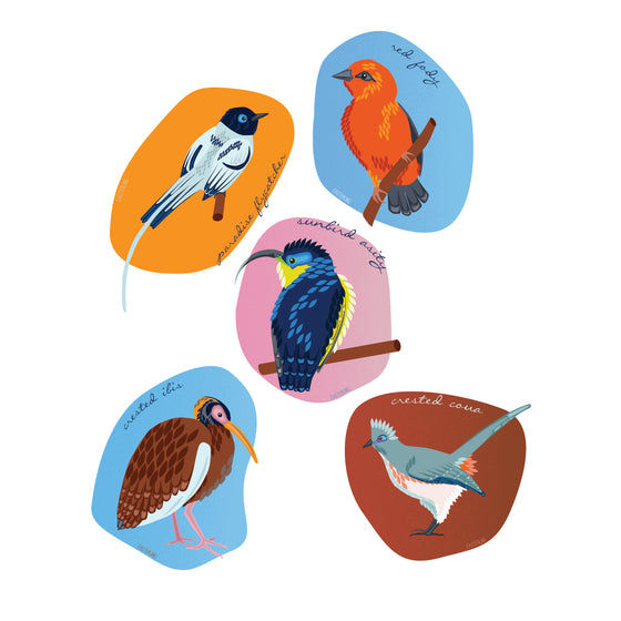Set of five Madagascar bird 8x10 prints - unmatted - Creative Vixen