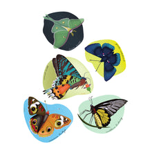  Butterflies 8x10 print - matted - Creative Vixen