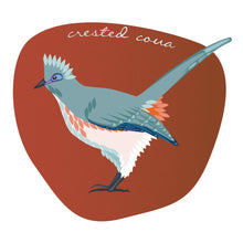  Crested coua 8x10 print - unmatted - Creative Vixen