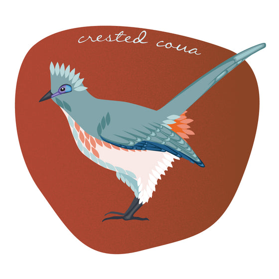 Crested coua 5x7 print - matted - Creative Vixen
