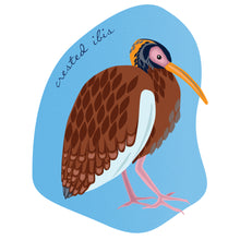  Crested ibis 5x7 print - matted - Creative Vixen