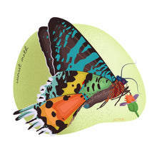  Sunset moth 8x10 print - unmatted - Creative Vixen