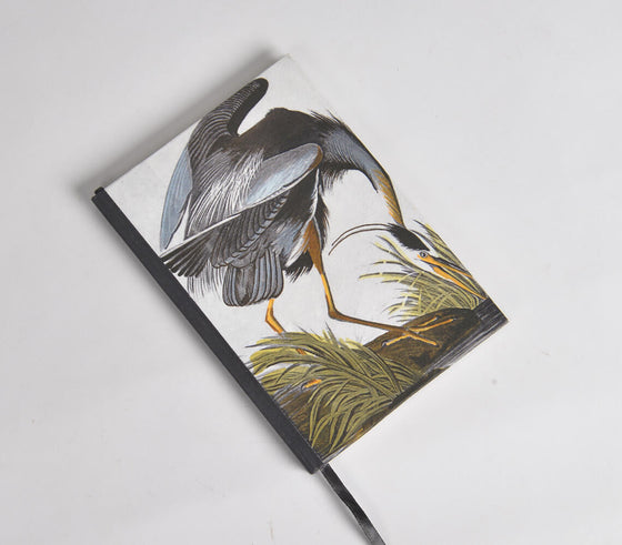 Hand Painted Noir Bird Diary