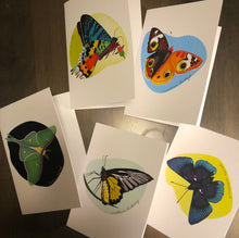  Butterfly notecards - 10 pack - Creative Vixen