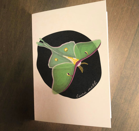 Luna moth notecard - single - Creative Vixen